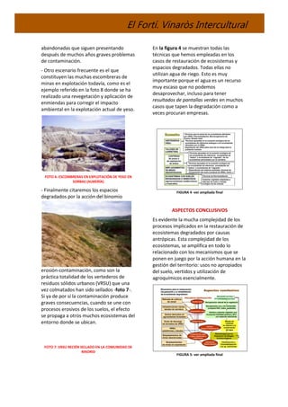 El Fortí. Vinaròs Intercultural
abandonadas que siguen presentando
después de muchos años graves problemas
de contaminación.
- Otro escenario frecuente es el que
constituyen las muchas escombreras de
minas en explotación todavía, como es el
ejemplo referido en la foto 8 donde se ha
realizado una revegetación y aplicación de
enmiendas para corregir el impacto
ambiental en la explotación actual de yeso.
FOTO 6: ESCOMBRERAS EN EXPLOTACIÓN DE YESO EN
SORBAS (ALMERÍA)
- Finalmente citaremos los espacios
degradados por la acción del binomio
erosión-contaminación, como son la
práctica totalidad de los vertederos de
residuos sólidos urbanos (VRSU) que una
vez colmatados han sido sellados -foto 7-.
Si ya de por sí la contaminación produce
graves consecuencias, cuando se une con
procesos erosivos de los suelos, el efecto
se propaga a otros muchos ecosistemas del
entorno donde se ubican.
FOTO 7: VRSU RECIÉN SELLADO EN LA COMUNIDAD DE
MADRID
En la figura 4 se muestran todas las
técnicas que hemos empleadas en los
casos de restauración de ecosistemas y
espacios degradados. Todas ellas no
utilizan agua de riego. Esto es muy
importante porque el agua es un recurso
muy escaso que no podemos
desaprovechar, incluso para tener
resultados de pantallas verdes en muchos
casos que tapen la degradación como a
veces procuran empresas.
FIGURA 4 -ver ampliada final
ASPECTOS CONCLUSIVOS
Es evidente la mucha complejidad de los
procesos implicados en la restauración de
ecosistemas degradados por causas
antrópicas. Esta complejidad de los
ecosistemas, se amplifica en todo lo
relacionado con los mecanismos que se
ponen en juego por la acción humana en la
gestión del territorio: usos no apropiados
del suelo, vertidos y utilización de
agroquímicos esencialmente.
FIGURA 5- ver ampliada final
 