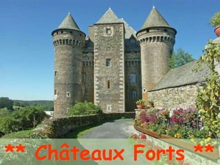 ** Châteaux Forts **** Châteaux Forts **
 