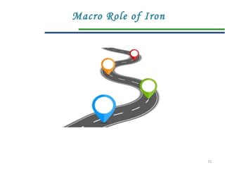 15
Macro Role of Iron
 