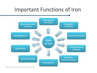 Important Functions of Iron
Radlowski EC, et al. Front Hum Neurosci. 2013;7:585.
 