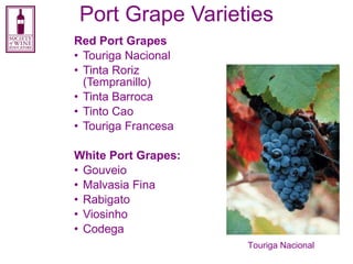 Fortified Wine Production Swe | PPT