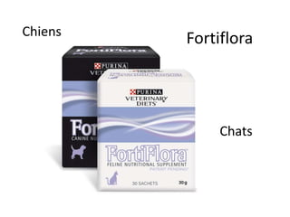 Fortiflora Chiens Chats 