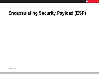 Encapsulating Security Payload (ESP)
Page: 229
 