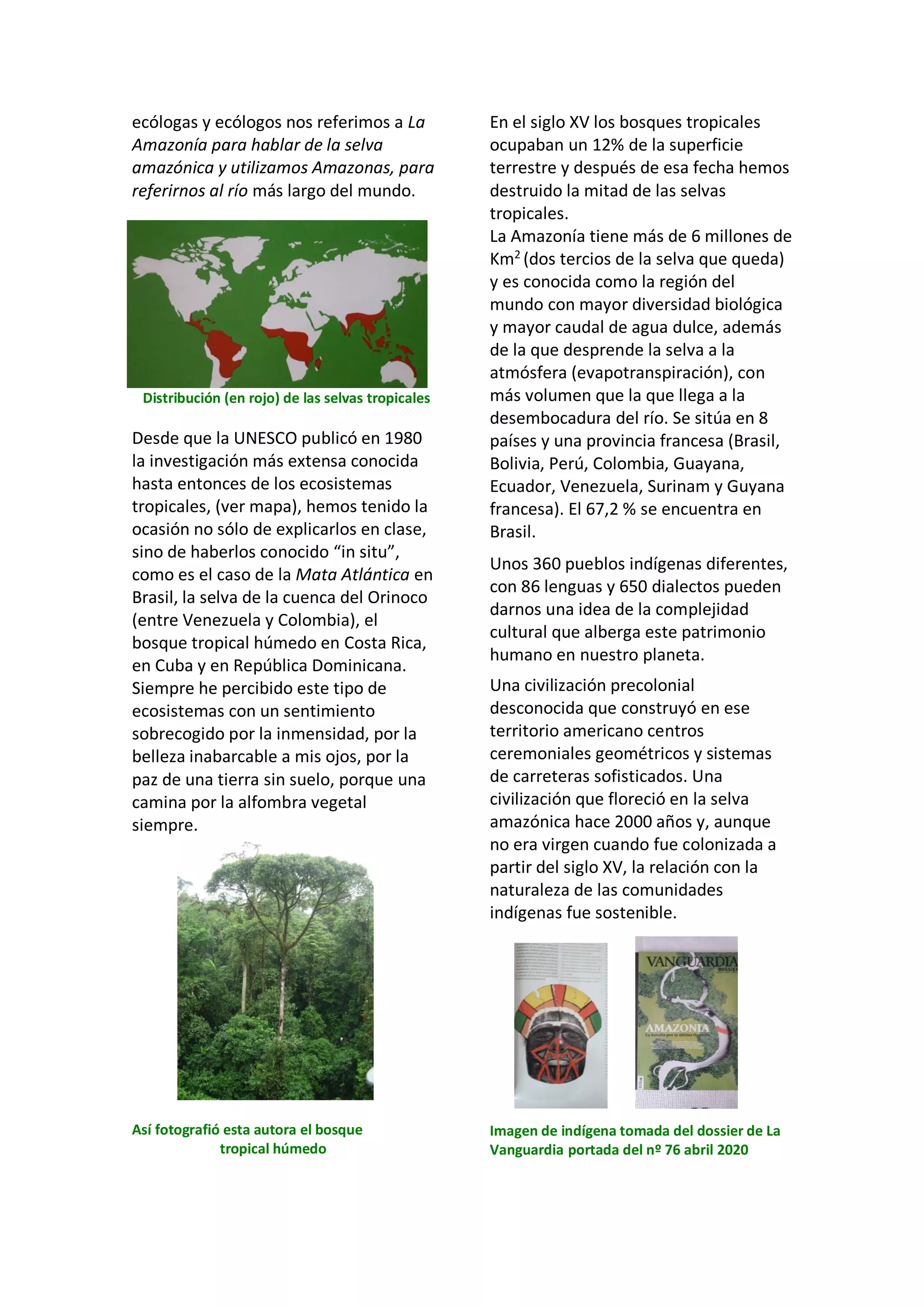 ecólogas y ecólogos nos referimos a La
Amazonía para hablar de la selva
amazónica y utilizamos Amazonas, para
referirnos al río más largo del mundo.
Distribución (en rojo) de las selvas tropicales
Desde que la UNESCO publicó en 1980
la investigación más extensa conocida
hasta entonces de los ecosistemas
tropicales, (ver mapa), hemos tenido la
ocasión no sólo de explicarlos en clase,
sino de haberlos conocido “in situ”,
como es el caso de la Mata Atlántica en
Brasil, la selva de la cuenca del Orinoco
(entre Venezuela y Colombia), el
bosque tropical húmedo en Costa Rica,
en Cuba y en República Dominicana.
Siempre he percibido este tipo de
ecosistemas con un sentimiento
sobrecogido por la inmensidad, por la
belleza inabarcable a mis ojos, por la
paz de una tierra sin suelo, porque una
camina por la alfombra vegetal
siempre.
Así fotografió esta autora el bosque
tropical húmedo
En el siglo XV los bosques tropicales
ocupaban un 12% de la superficie
terrestre y después de esa fecha hemos
destruido la mitad de las selvas
tropicales.
La Amazonía tiene más de 6 millones de
Km2
(dos tercios de la selva que queda)
y es conocida como la región del
mundo con mayor diversidad biológica
y mayor caudal de agua dulce, además
de la que desprende la selva a la
atmósfera (evapotranspiración), con
más volumen que la que llega a la
desembocadura del río. Se sitúa en 8
países y una provincia francesa (Brasil,
Bolivia, Perú, Colombia, Guayana,
Ecuador, Venezuela, Surinam y Guyana
francesa). El 67,2 % se encuentra en
Brasil.
Unos 360 pueblos indígenas diferentes,
con 86 lenguas y 650 dialectos pueden
darnos una idea de la complejidad
cultural que alberga este patrimonio
humano en nuestro planeta.
Una civilización precolonial
desconocida que construyó en ese
territorio americano centros
ceremoniales geométricos y sistemas
de carreteras sofisticados. Una
civilización que floreció en la selva
amazónica hace 2000 años y, aunque
no era virgen cuando fue colonizada a
partir del siglo XV, la relación con la
naturaleza de las comunidades
indígenas fue sostenible.
Imagen de indígena tomada del dossier de La
Vanguardia portada del nº 76 abril 2020
 