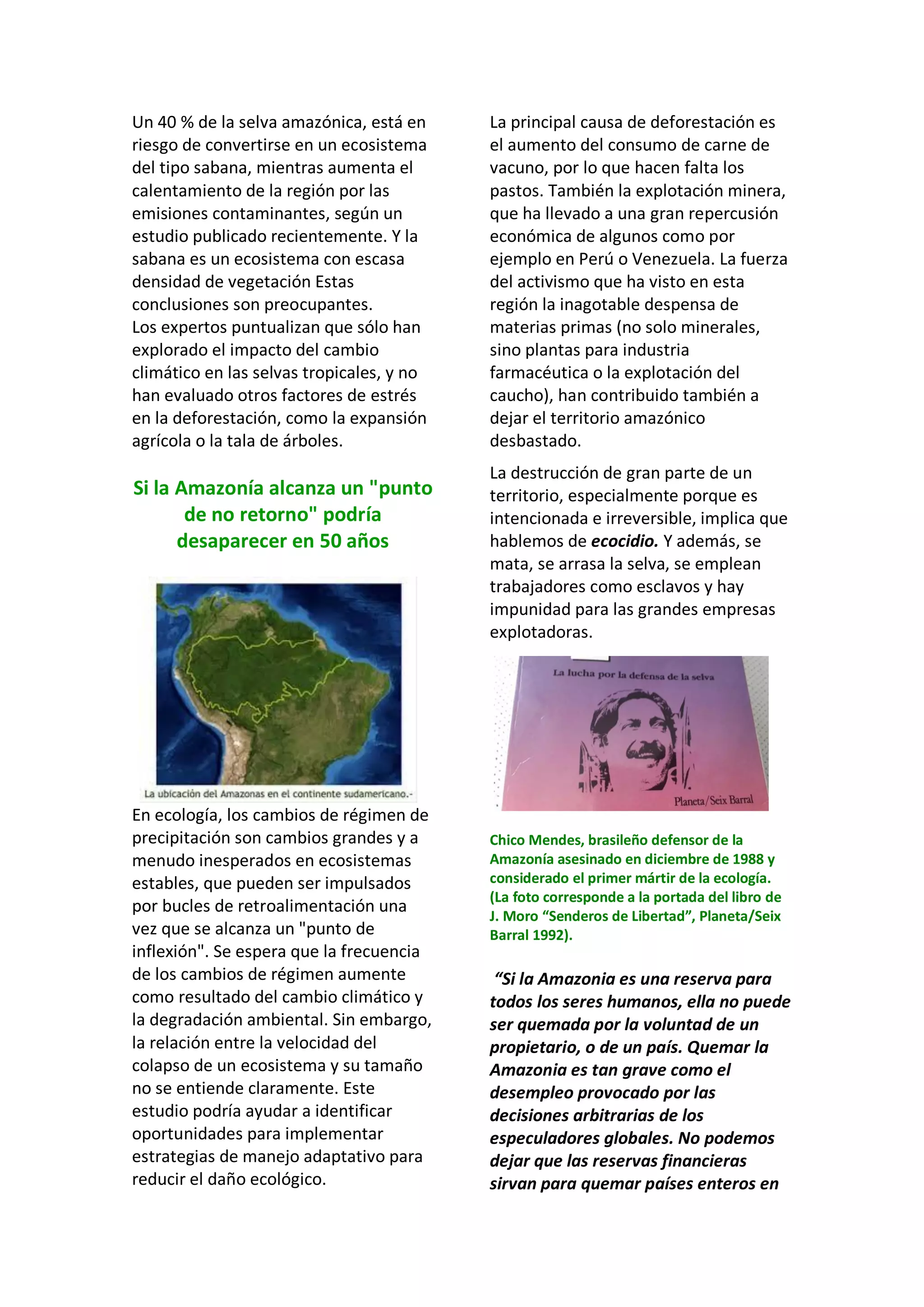 Un 40 % de la selva amazónica, está en
riesgo de convertirse en un ecosistema
del tipo sabana, mientras aumenta el
calentamiento de la región por las
emisiones contaminantes, según un
estudio publicado recientemente. Y la
sabana es un ecosistema con escasa
densidad de vegetación Estas
conclusiones son preocupantes.
Los expertos puntualizan que sólo han
explorado el impacto del cambio
climático en las selvas tropicales, y no
han evaluado otros factores de estrés
en la deforestación, como la expansión
agrícola o la tala de árboles.
Si la Amazonía alcanza un "punto
de no retorno" podría
desaparecer en 50 años
En ecología, los cambios de régimen de
precipitación son cambios grandes y a
menudo inesperados en ecosistemas
estables, que pueden ser impulsados
por bucles de retroalimentación una
vez que se alcanza un "punto de
inflexión". Se espera que la frecuencia
de los cambios de régimen aumente
como resultado del cambio climático y
la degradación ambiental. Sin embargo,
la relación entre la velocidad del
colapso de un ecosistema y su tamaño
no se entiende claramente. Este
estudio podría ayudar a identificar
oportunidades para implementar
estrategias de manejo adaptativo para
reducir el daño ecológico.
La principal causa de deforestación es
el aumento del consumo de carne de
vacuno, por lo que hacen falta los
pastos. También la explotación minera,
que ha llevado a una gran repercusión
económica de algunos como por
ejemplo en Perú o Venezuela. La fuerza
del activismo que ha visto en esta
región la inagotable despensa de
materias primas (no solo minerales,
sino plantas para industria
farmacéutica o la explotación del
caucho), han contribuido también a
dejar el territorio amazónico
desbastado.
La destrucción de gran parte de un
territorio, especialmente porque es
intencionada e irreversible, implica que
hablemos de ecocidio. Y además, se
mata, se arrasa la selva, se emplean
trabajadores como esclavos y hay
impunidad para las grandes empresas
explotadoras.
Chico Mendes, brasileño defensor de la
Amazonía asesinado en diciembre de 1988 y
considerado el primer mártir de la ecología.
(La foto corresponde a la portada del libro de
J. Moro “Senderos de Libertad”, Planeta/Seix
Barral 1992).
“Si la Amazonia es una reserva para
todos los seres humanos, ella no puede
ser quemada por la voluntad de un
propietario, o de un país. Quemar la
Amazonia es tan grave como el
desempleo provocado por las
decisiones arbitrarias de los
especuladores globales. No podemos
dejar que las reservas financieras
sirvan para quemar países enteros en
 