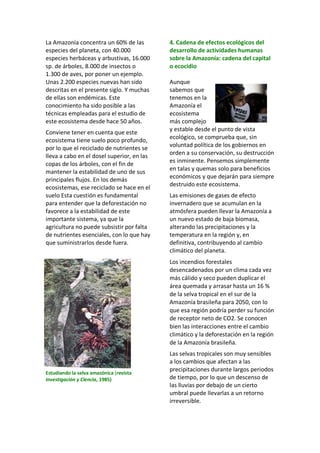 La Amazonía concentra un 60% de las
especies del planeta, con 40.000
especies herbáceas y arbustivas, 16.000
sp. de árboles, 8.000 de insectos o
1.300 de aves, por poner un ejemplo.
Unas 2.200 especies nuevas han sido
descritas en el presente siglo. Y muchas
de ellas son endémicas. Este
conocimiento ha sido posible a las
técnicas empleadas para el estudio de
este ecosistema desde hace 50 años.
Conviene tener en cuenta que este
ecosistema tiene suelo poco profundo,
por lo que el reciclado de nutrientes se
lleva a cabo en el dosel superior, en las
copas de los árboles, con el fin de
mantener la estabilidad de uno de sus
principales flujos. En los demás
ecosistemas, ese reciclado se hace en el
suelo Esta cuestión es fundamental
para entender que la deforestación no
favorece a la estabilidad de este
importante sistema, ya que la
agricultura no puede subsistir por falta
de nutrientes esenciales, con lo que hay
que suministrarlos desde fuera.
Estudiando la selva amazónica (revista
Investigación y Ciencia, 1985)
4. Cadena de efectos ecológicos del
desarrollo de actividades humanas
sobre la Amazonía: cadena del capital
o ecocidio
Aunque
sabemos que
tenemos en la
Amazonía el
ecosistema
más complejo
y estable desde el punto de vista
ecológico, se comprueba que, sin
voluntad política de los gobiernos en
orden a su conservación, su destrucción
es inminente. Pensemos simplemente
en talas y quemas solo para beneficios
económicos y que dejarán para siempre
destruido este ecosistema.
Las emisiones de gases de efecto
invernadero que se acumulan en la
atmósfera pueden llevar la Amazonía a
un nuevo estado de baja biomasa,
alterando las precipitaciones y la
temperatura en la región y, en
definitiva, contribuyendo al cambio
climático del planeta.
Los incendios forestales
desencadenados por un clima cada vez
más cálido y seco pueden duplicar el
área quemada y arrasar hasta un 16 %
de la selva tropical en el sur de la
Amazonía brasileña para 2050, con lo
que esa región podría perder su función
de receptor neto de CO2. Se conocen
bien las interacciones entre el cambio
climático y la deforestación en la región
de la Amazonía brasileña.
Las selvas tropicales son muy sensibles
a los cambios que afectan a las
precipitaciones durante largos periodos
de tiempo, por lo que un descenso de
las lluvias por debajo de un cierto
umbral puede llevarlas a un retorno
irreversible.
 