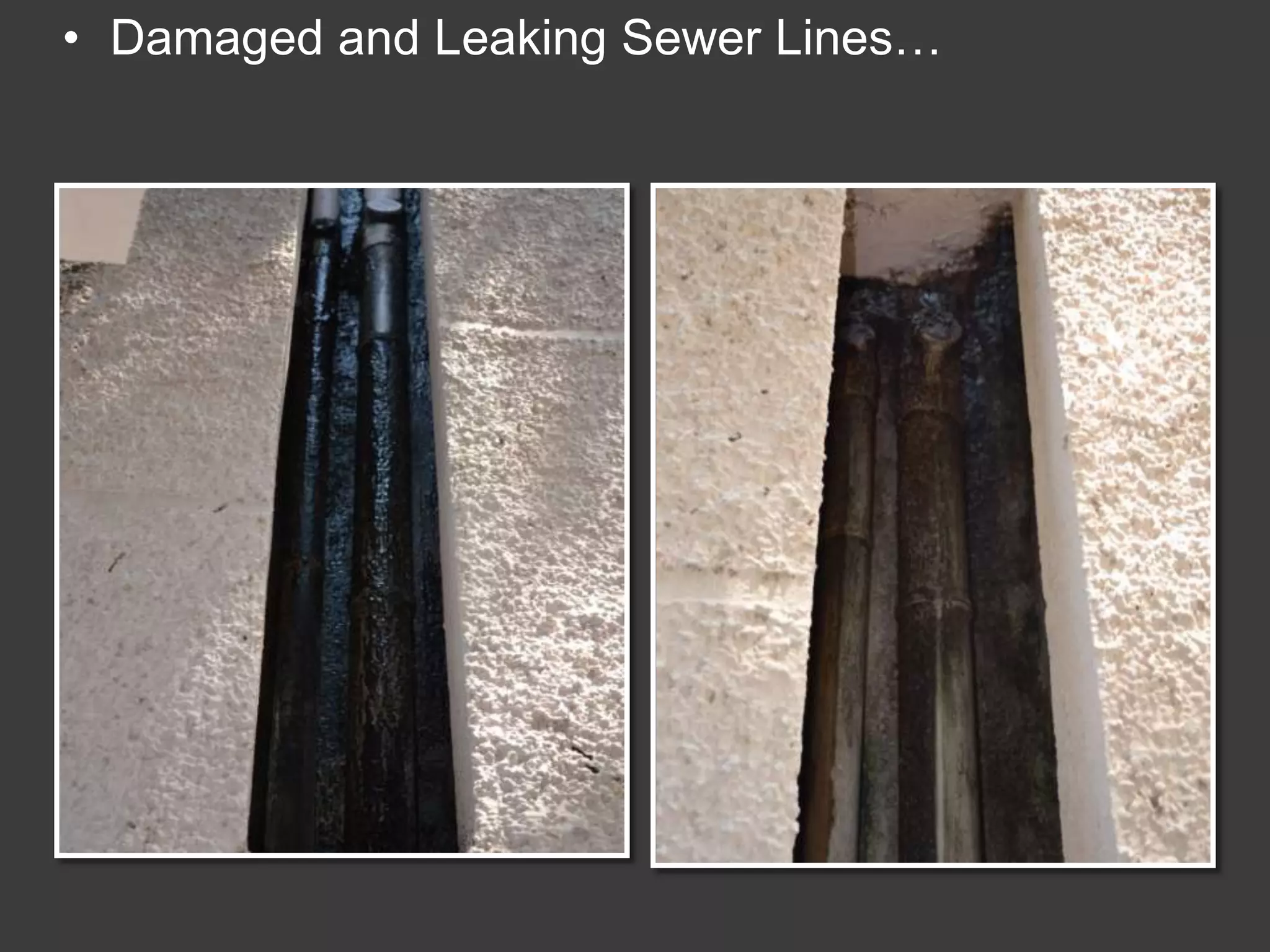 • Damaged and Leaking Sewer Lines…
 