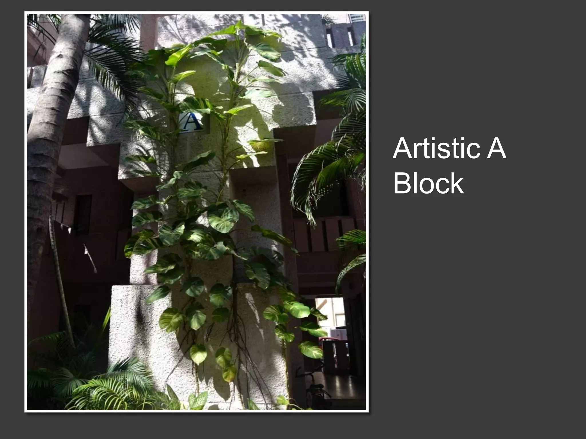 Artistic A
Block
 