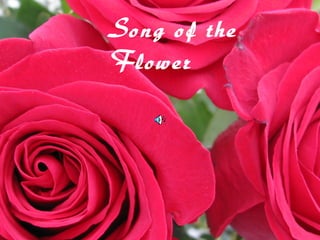 Song of the
Flower
 