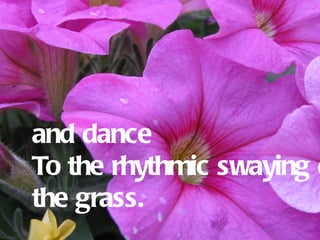 and dance
To the rhythmic swaying o
the grass.