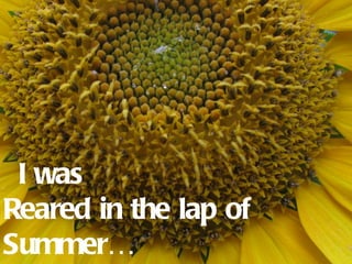 I was
Reared in the lap of
Summer…