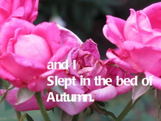 and I
Slept in the bed of
Autumn.