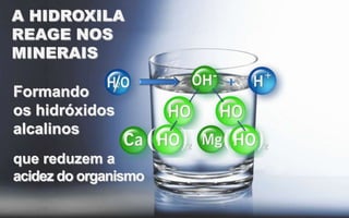 A HIDROXILA
REAGE NOS
MINERAIS
Formando
os hidróxidos
alcalinos
que reduzem a
acidez do organismo

 
