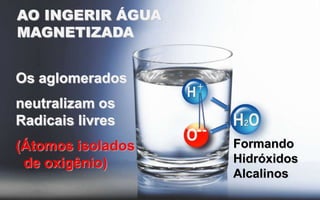 AO INGERIR ÁGUA
MAGNETIZADA
Os aglomerados

neutralizam os
Radicais livres
(Átomos isolados
de oxigênio)

Formando
Hidróxidos
Alcalinos

 
