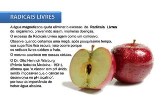 A água magnetizada ajuda eliminar o excesso de Radicais Livres
do organismo, prevenindo assim, inúmeras doenças.
O excesso de Radicais Livres agem como um corrosivo.
Observe quando cortamos uma maçã, após pouquíssimo tempo,
sua superfície fica escura, isso ocorre porque
os radicais livres oxidam a fruta.
O mesmo acontece em nossas células.
O Dr. Otto Heinrich Warburg
(Prêmio Nobel de Medicina - 1931),

afirmou que “o câncer tem pH ácido,
sendo impossível que o câncer se
desenvolva no pH alcalino”,
por isso da importância de
beber água alcalina.

 