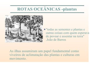 ROTAS OCEÂNICAS -plantas
P"todas as sementes e plantas e
outras coisas com quem esperava
de povoar e assentar na terra"
.João de Barros
As ilhas assumiram um papel fundamental como
viveiros de aclimatação das plantas e culturas em
movimento.
 