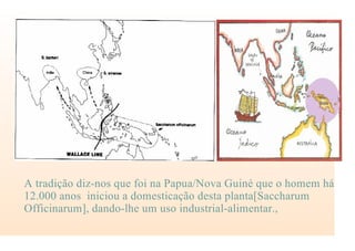 A tradição diz-nos que foi na Papua/Nova Guiné que o homem há
12.000 anos iniciou a domesticação desta planta[Saccharum
Officinarum], dando-lhe um uso industrial-alimentar.,
 