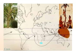Coco
 
