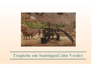 Trapiche em Santiago(Cabo Verde)
 