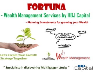 FORTUNA
- Wealth Management Services by HBJ Capital
                 - Planning Investments for growing your Wealth




 “ Specialists in discovering Multibagger stocks “
 