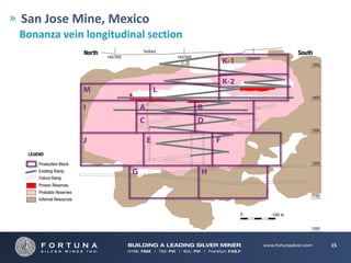 San Jose Mine, Mexico
Bonanza vein longitudinal section




                                    15
 