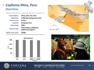 Caylloma Mine, Peru
Overview
        Commodities     Silver, gold, zinc, lead
          Operation     1,300 tpd underground mine 
         Reserve Life   8 Years
            Location    Arequipa, Peru                                 
          Ownership     100%
                        Intermediate sulfidation
         Deposit type
                        epithermal deposit
2013E cash cost/t       US$96


                             Ag Production
         2,000


         1,500
 k oz




         1,000


          500


            ‐
                 2011      2012          2013             2014
                                              Forecasts



                                                                          18
 