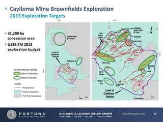 Caylloma Mine Brownfields Exploration
   2013 Exploration Targets


 31,200 ha 
  concession area
 US$6.7M 2013 
  exploration budget




                                          20
 