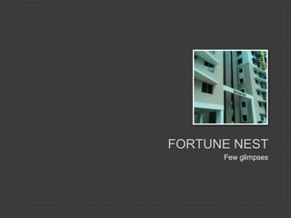 FORTUNE NESTFew glimpses