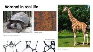 Voronoi in real life
Oak leaf pattern
Giraﬀe skin pattern
Tortoise skin and shell patterns
Soap foam pattern
 