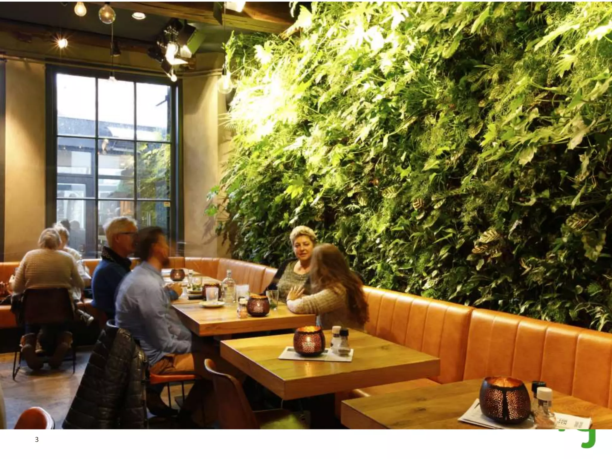 Groene wand in Restaurant Fortuyn Haarlem | PPT | Free Download