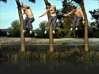 Forum.maceio biavati