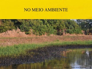 NO MEIO AMBIENTE
Figura 8 Fonte: Portal Amazônia 8
 