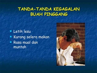 TANDA-TANDA KEGAGALAN  BUAH PINGGANG   Letih lesu Kurang selera makan Rasa mual dan muntah 