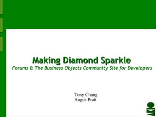 Making   Diamond   Sparkle  Forums & The Business Objects Community Site for Developers Tony Chang Angus Pratt 