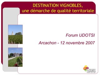 DESTINATION VIGNOBLES, une démarche de qualité territoriale Forum UDOTSI Arcachon - 12 novembre 2007 