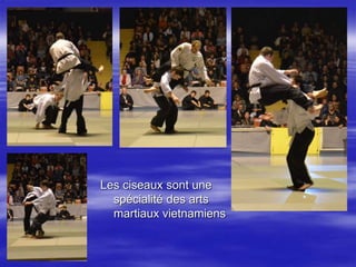 . 
Les ciseaux sont une 
spécialité des arts 
martiaux vietnamiens 
 