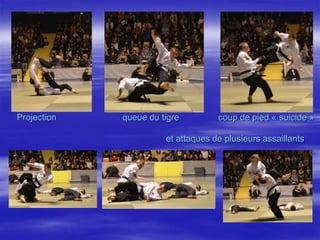 Projection queue du tigre coup de pied « suicide » 
et attaques de plusieurs assaillants 
. 
 