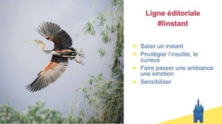 Ligne éditoriale
#linstant
Saisir un instant
Privilégier l’insolite, le
curieux
Faire passer une ambiance
une émotion
Sensibiliser
 