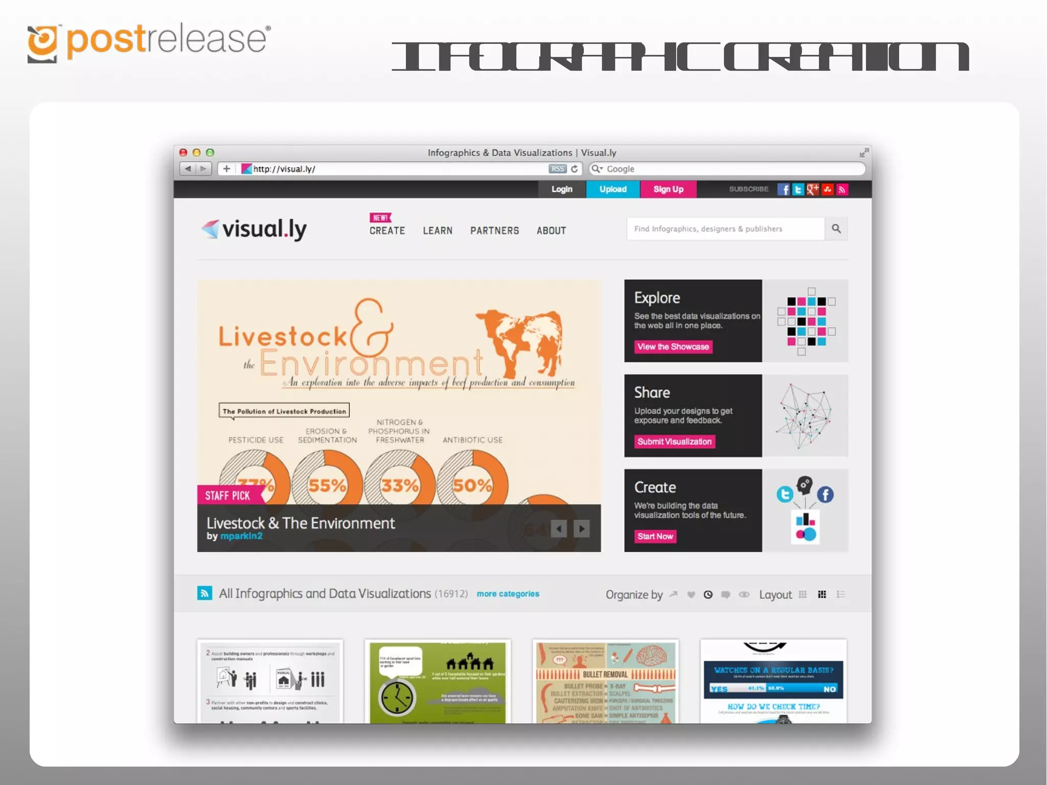 Infographic creation
 