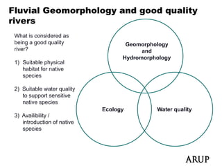 Fluvial Geomorphology and good quality
rivers
   e s
 What is considered as
 being a good quality               Geomorphology
                                               gy
  i ?
 river?                                  and
                                   Hydromorphology
 1) Suitable physical
    habitat for native
    species

 2) Suitable water quality
    to support sensitive
    native species
                             Ecology         Water quality
 3) Availibility /
    introduction of native
    species
 