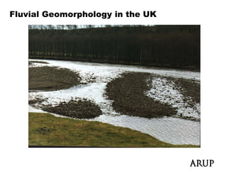 Fluvial Geomorphology in the UK
 
