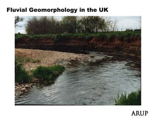 Fluvial Geomorphology in the UK
 