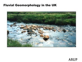 Fluvial Geomorphology in the UK
 
