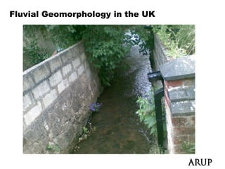 Fluvial Geomorphology in the UK
 