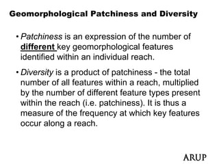 Geomorphological Patchiness and Diversity

 • Patchiness is an expression of the number of
   different key geomorphological features
   identified within an individual reach.
 • Di
   Diversity i a product of patchiness - th t t l
          it is     d t f t hi              the total
   number of all features within a reach, multiplied
   by the number of different feature types present
   within the reach (i.e. patchiness). It is thus a
   measure of the frequency at which key features
                       q     y               y
   occur along a reach.
 