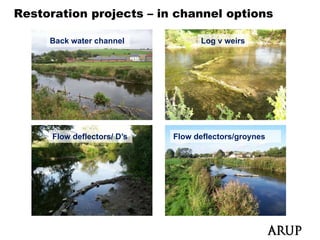 Restoration projects – in channel options

     Back water channel            Log v weirs




      Flow deflectors/ D’s
                       Ds    Flow deflectors/groynes
 