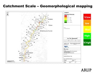 Catchment Scale – Geomorphological mapping

   Geomorphological Standard
   Diversity                          V.low

                                      low

                                      Mod

                                      High

                                     V.high
                                     V hi h
 