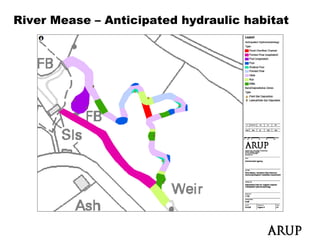 River Mease – Anticipated hydraulic habitat
 