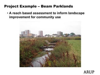 Project Example – Beam Parklands
 • A reach based assessment to inform landscape
   improvement for community use
 