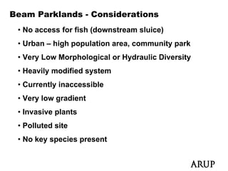 Beam Parklands - Considerations
 • No access for fish (downstream sluice)
 • Urban – high population area, community park
 • Very Low Morphological or Hydraulic Diversity
 • Heavily modified system
 • Currently inaccessible
 • Very low gradient
 • Invasive plants
 • Polluted site
 • No key species present
 